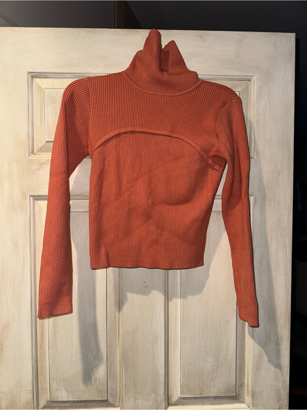 Petal & Pup Cropped Ribbed Turtleneck Sweater - Rusty Coral